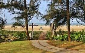Montego Bay Beach Village - Morjim